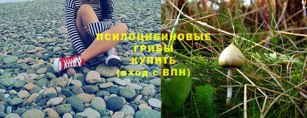 бошки Бугульма