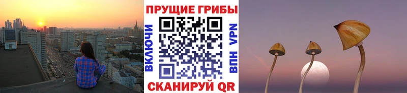 Галлюциногенные грибы MAGIC MUSHROOMS  Когалым 